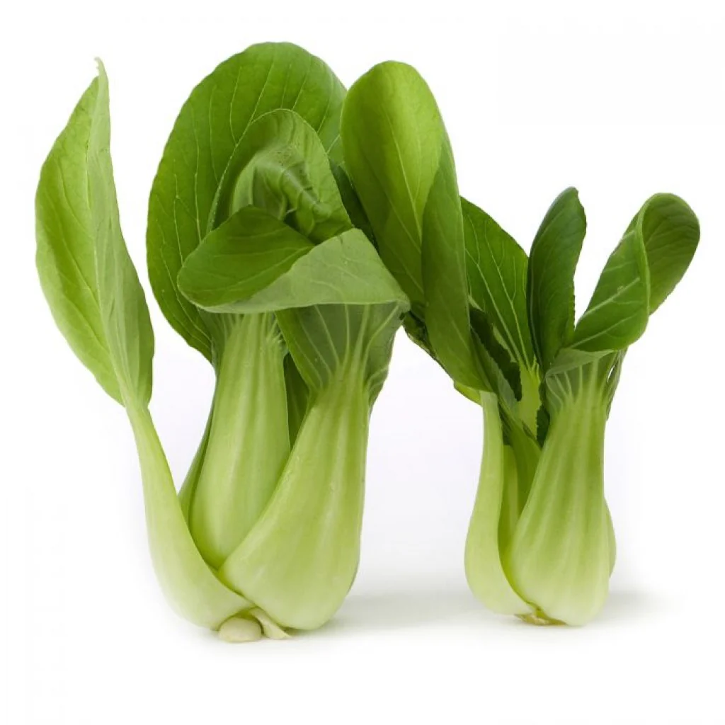 Pak Choi Seeds All Green