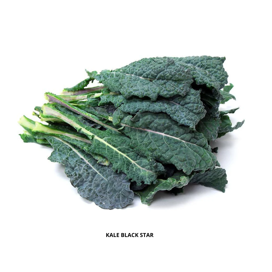 Komatsuna Seeds Kitchen Garden Packing