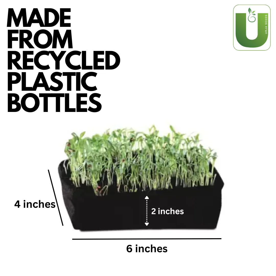 Micro Green Grow Bag Set of 2 - Image 5