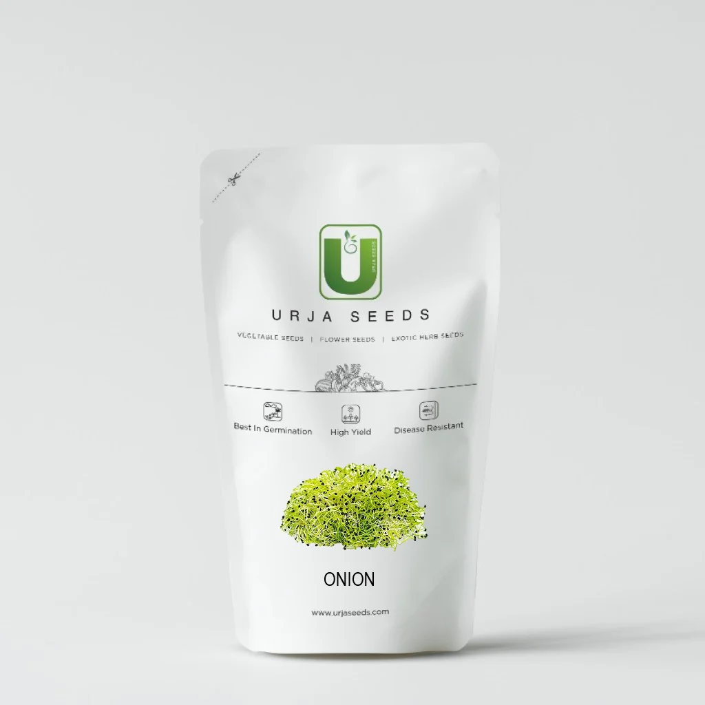 Onion - Micro green Seeds - Image 2