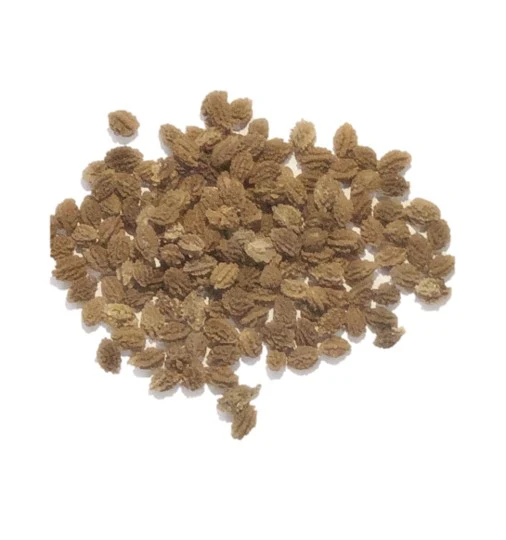 Bittergourd Seeds F1 Hybrid- US 8848 - Image 2