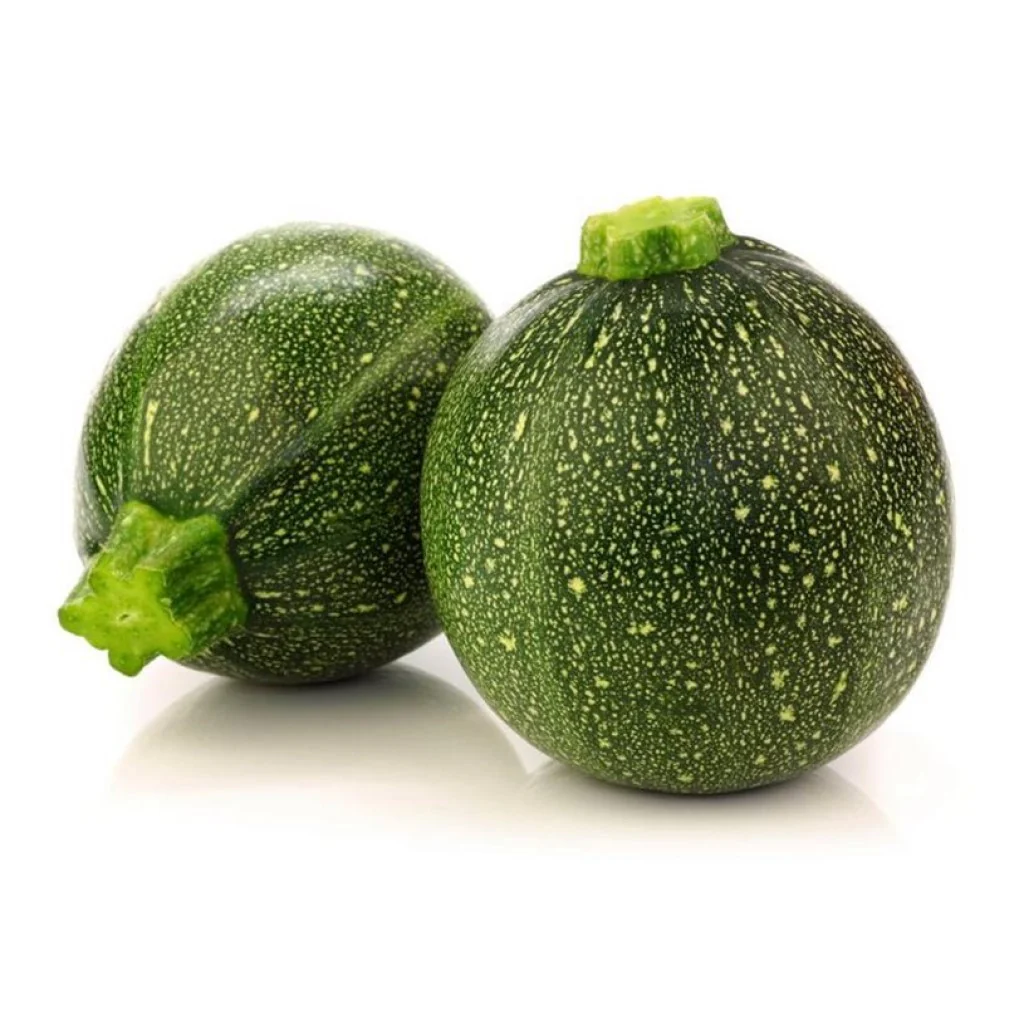 Summer Squash Seeds (Chappan Kaddu) F-1 Hybrid US-14215 (Dark Green)