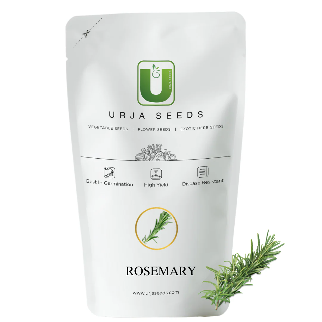 Rosemary Seeds Kitchen Garden Packaging - Image 2