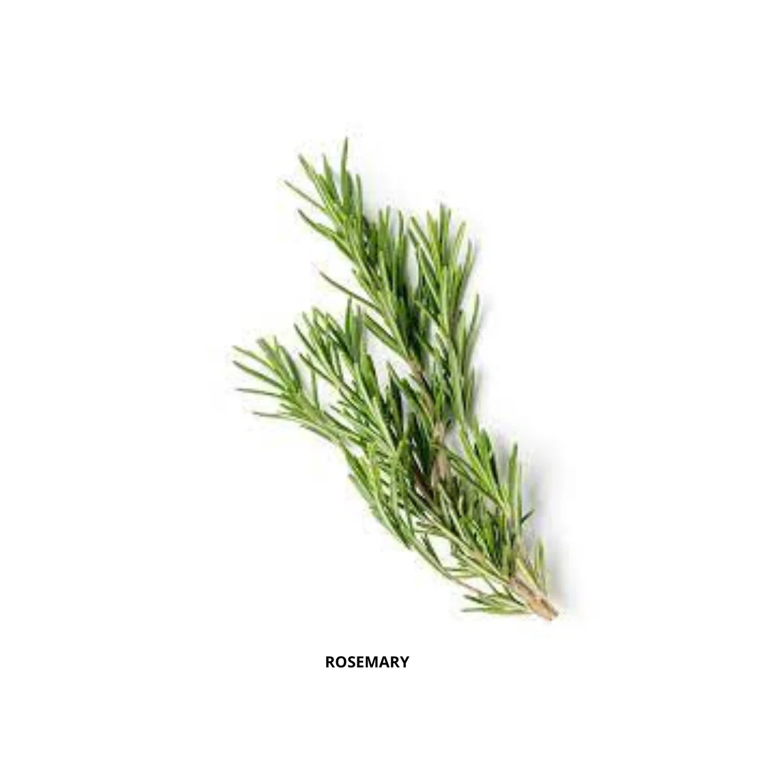 Rosemary Seeds Kitchen Garden Packaging