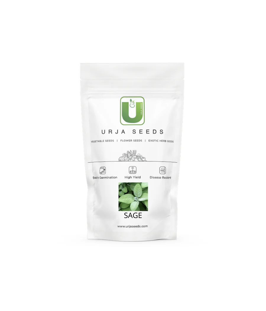 Sage Seeds-5GMS - Image 2
