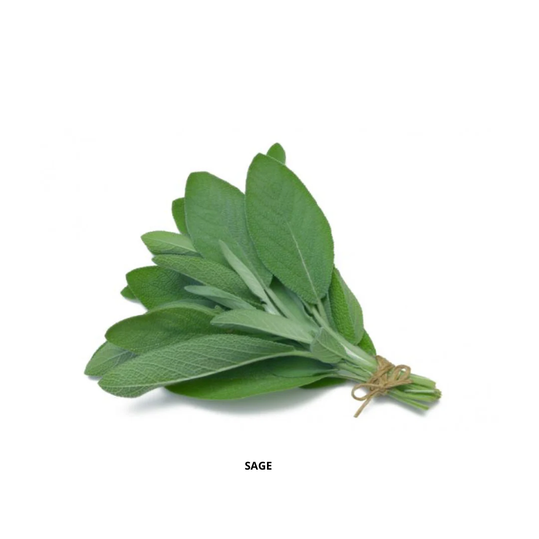 Sage Seeds-5GMS