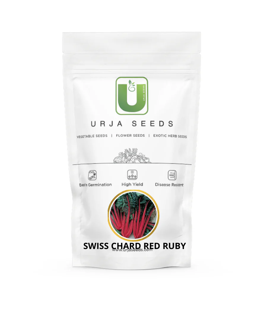 Swiss Chard Red Ruby-Kitchen Garden Packing - Image 2