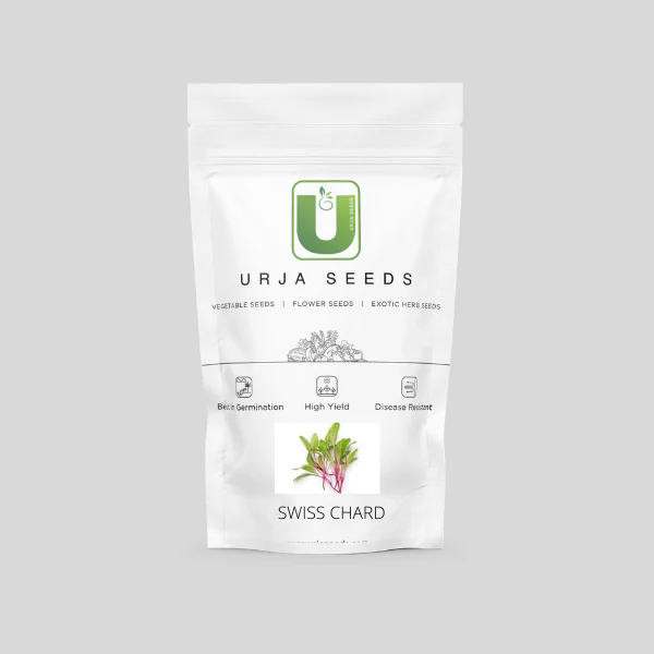 Swiss Chard Micro green Seeds - Image 2