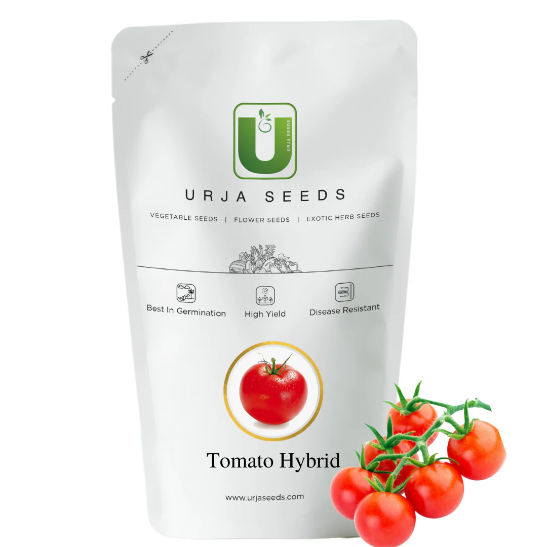 Tomato Seeds F-1 Hybrid US-99 (Indeterminate) - Image 3