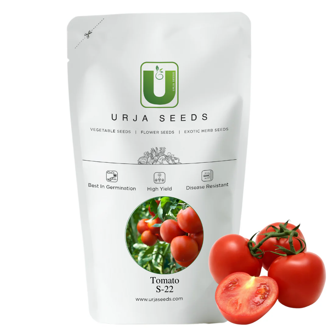 Tomato Seeds US-22 (Determinate) - Image 3