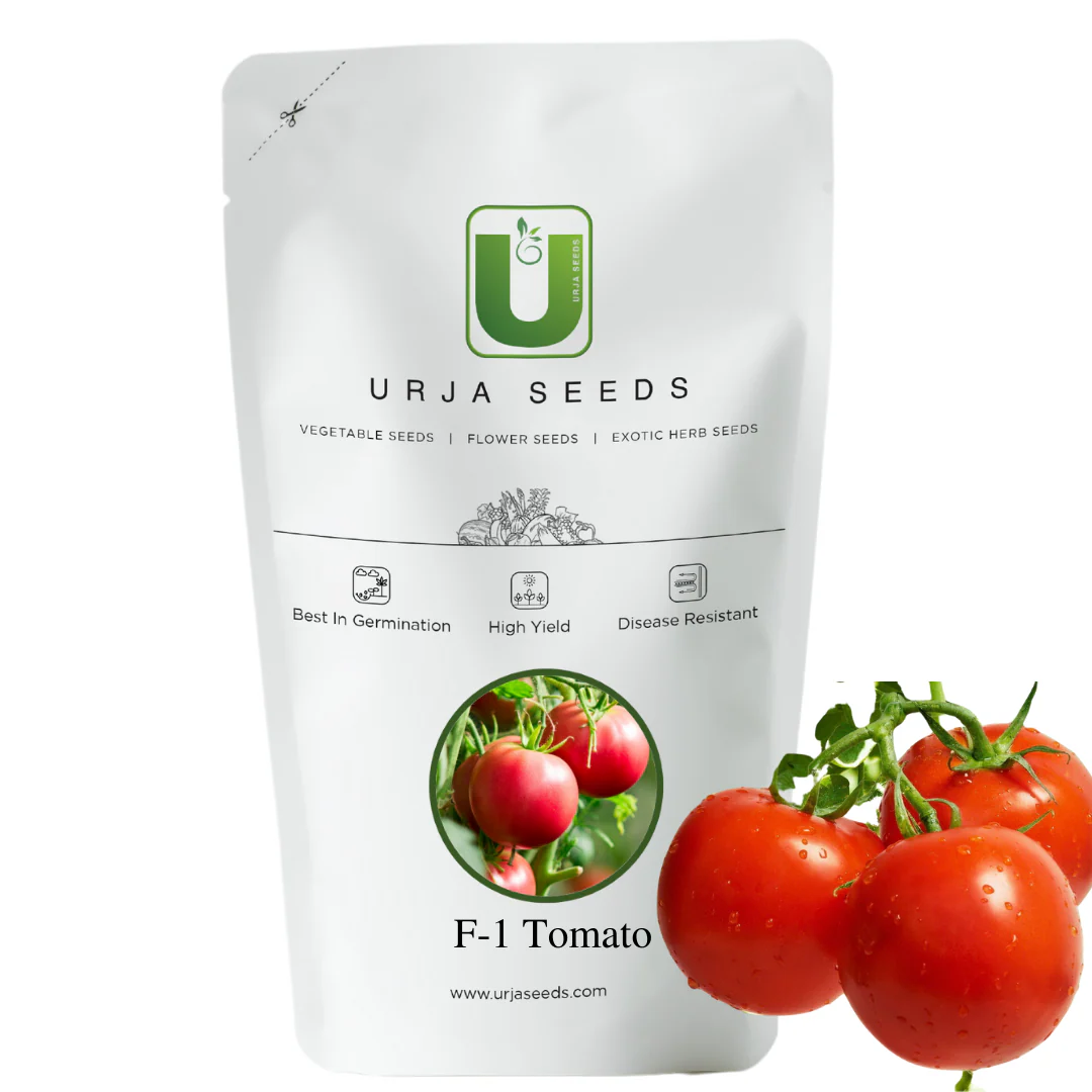 Tomato Seeds F-1 Hybrid Vaibhav (Semi-determinate) - Image 3
