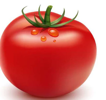 Tomato Seeds Jayant - Image 2