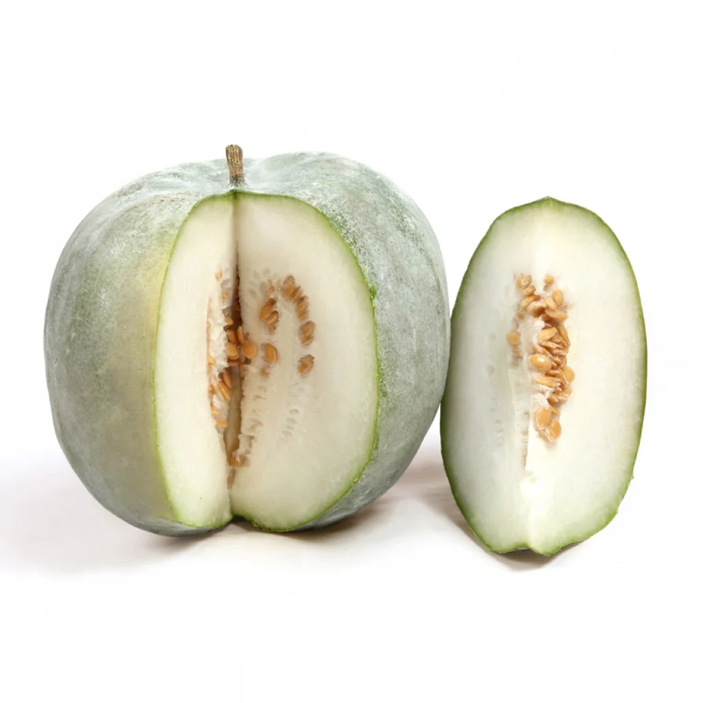 Ash Gourd Seeds F-1 Hybrid US 102