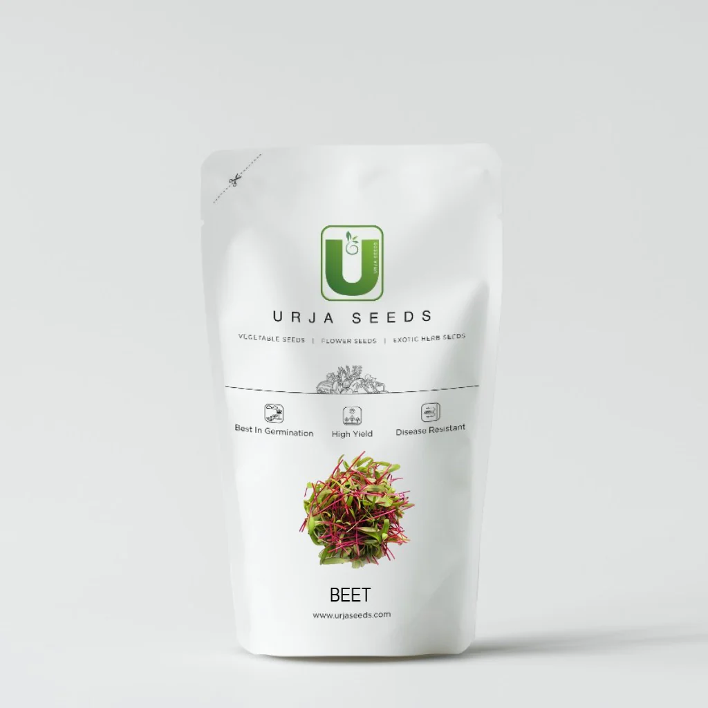 Beetroot - Micro Green Seeds - Image 2