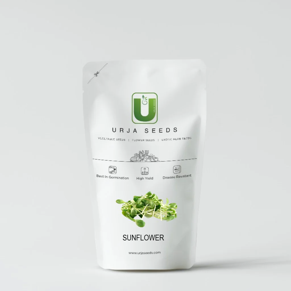 Sunflower Micro green Seeds - Image 2