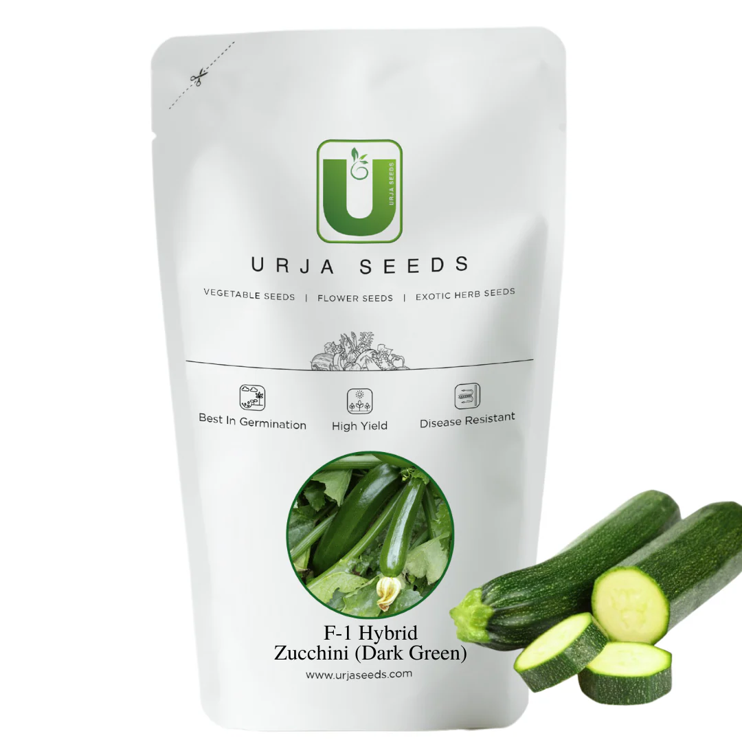 Zucchini Seeds F-1 Hybrid - Green - Image 2