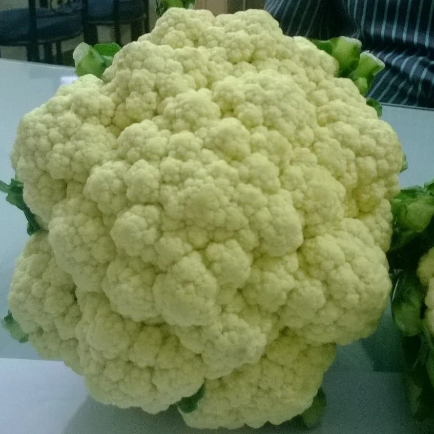 Cauliflower Seeds F-1 Hybrid Agri 1 - Image 3