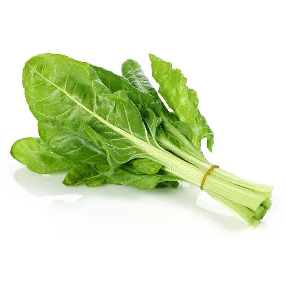 Swiss Chard- Super Green - Image 3