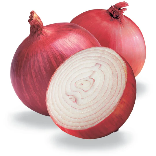 Onion Seeds Nasik Red - Image 3