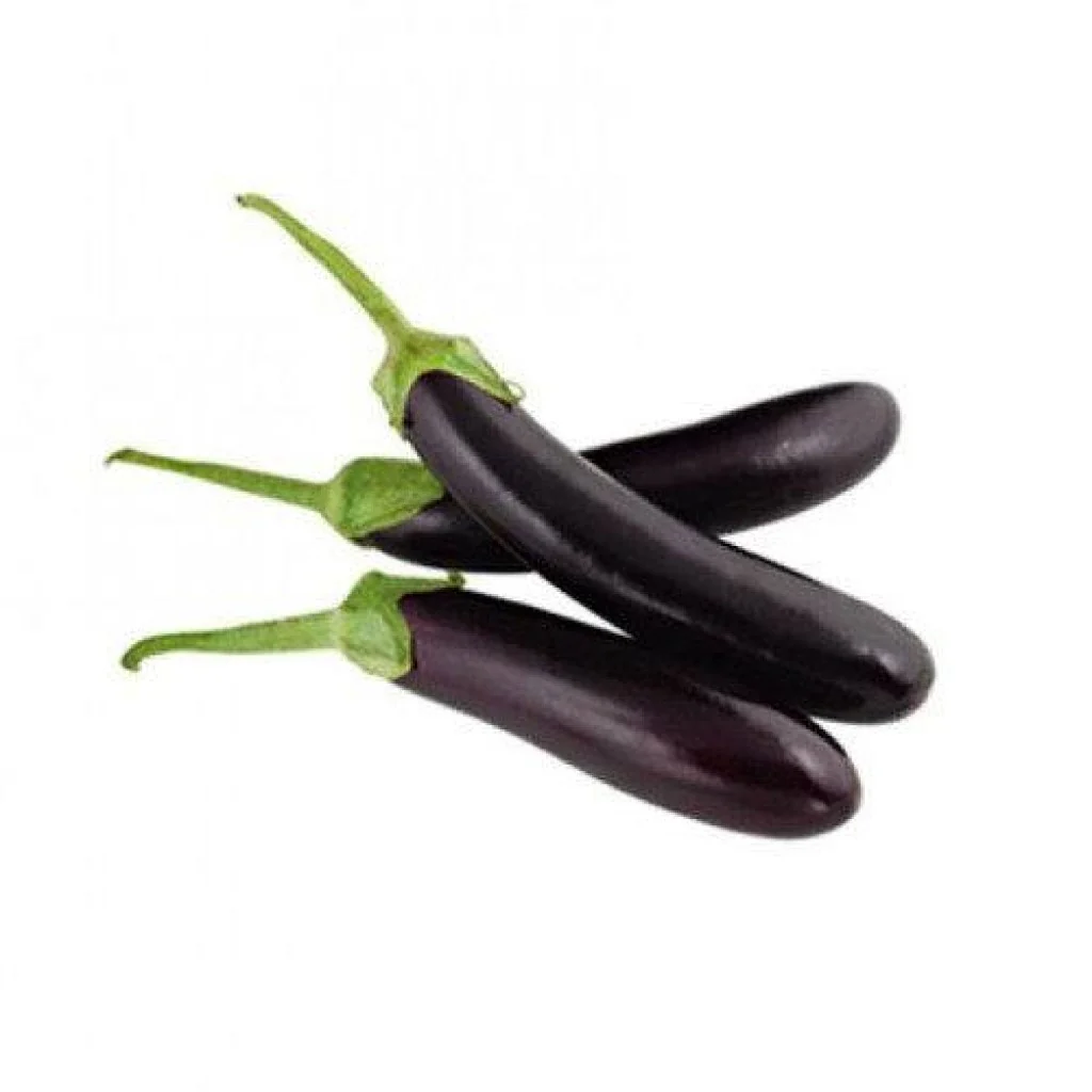 Brinjal Seeds F-1 Hybrid US-5253 (Long Purple)