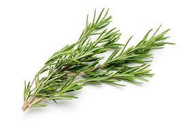 Rosemary Seeds Kitchen Garden Packaging - Image 3