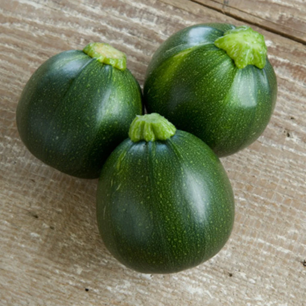Summer Squash Seeds (Chappan Kaddu) F-1 Hybrid US-14215 (Dark Green) - Image 3