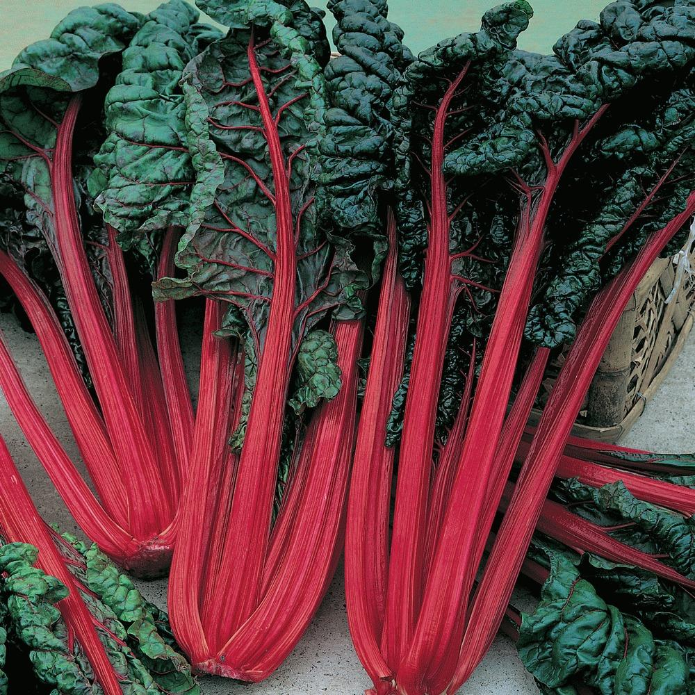 Swiss Chard Red Ruby-Kitchen Garden Packing